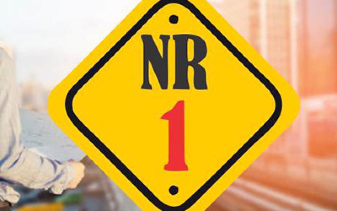 Prorrogação da Vigência da Nova Redação da NR-01: Entenda o Que Muda